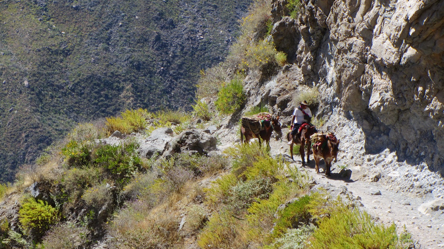 The trail down into the Colca Canyon